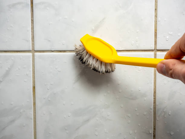Best Post-Remediation Services in Hitchcock, TX