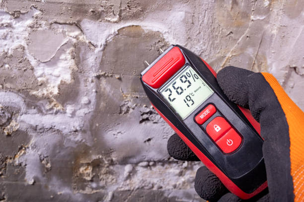 Best Post-Remediation Services in Hitchcock, TX